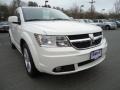 2010 Stone White Dodge Journey R/T  photo #1