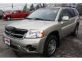 2007 Platinum Pearl Mitsubishi Endeavor SE AWD  photo #3