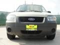 2005 Gold Ash Metallic Ford Escape XLS  photo #9