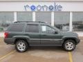 2001 Shale Green Metallic Jeep Grand Cherokee Laredo 4x4  photo #2