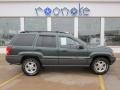 Shale Green Metallic - Grand Cherokee Laredo 4x4 Photo No. 2