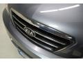Alpine Gray - Sorento LX Photo No. 13