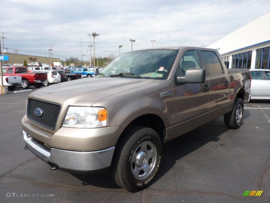 2005 F150 XLT SuperCrew 4x4 - Arizona Beige Metallic / Tan photo #10