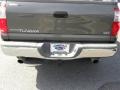 2005 Phantom Gray Pearl Toyota Tundra SR5 Double Cab  photo #14