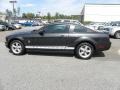 2008 Alloy Metallic Ford Mustang V6 Deluxe Coupe  photo #2