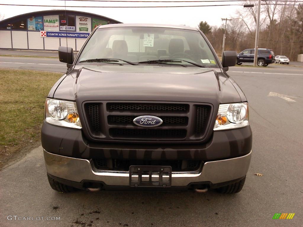 2005 F150 XL Regular Cab 4x4 - Dark Shadow Grey Metallic / Medium Flint Grey photo #2