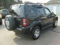 Black Clearcoat - Liberty Renegade 4x4 Photo No. 5