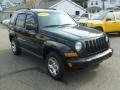 Black Clearcoat - Liberty Renegade 4x4 Photo No. 7