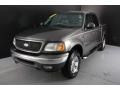 2002 Dark Shadow Grey Metallic Ford F150 XLT SuperCrew 4x4  photo #2