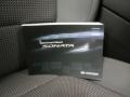 Radiant Silver - Sonata GLS Photo No. 21