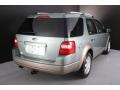 2005 Titanium Green Metallic Ford Freestyle SE  photo #2