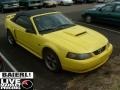 2002 Zinc Yellow Ford Mustang GT Convertible  photo #1