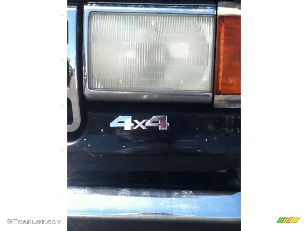 1990 Bronco XLT 4x4 - Raven Black / Dark Charcoal photo #4