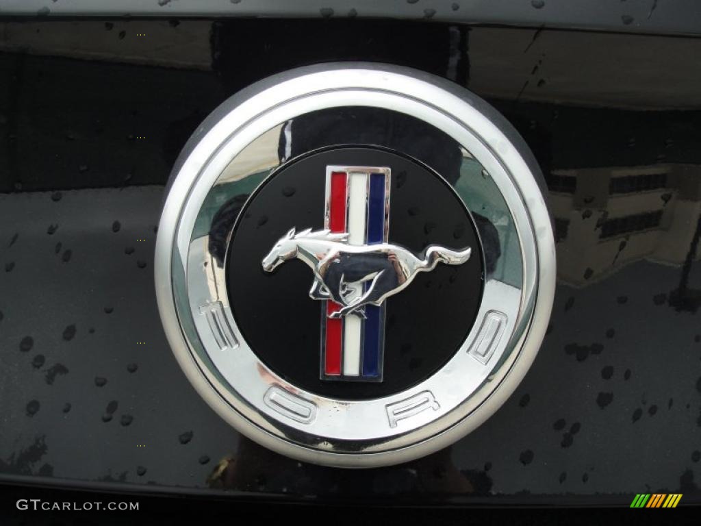 2011 Mustang V6 Coupe - Ebony Black / Charcoal Black photo #15