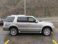 Vapor Silver Metallic - Mountaineer Premier AWD Photo No. 5