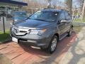 Nimbus Gray Metallic - MDX Technology Photo No. 1