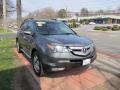 Nimbus Gray Metallic - MDX Technology Photo No. 3