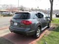 Nimbus Gray Metallic - MDX Technology Photo No. 5