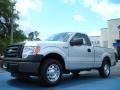 2011 Ingot Silver Metallic Ford F150 XL Regular Cab  photo #1