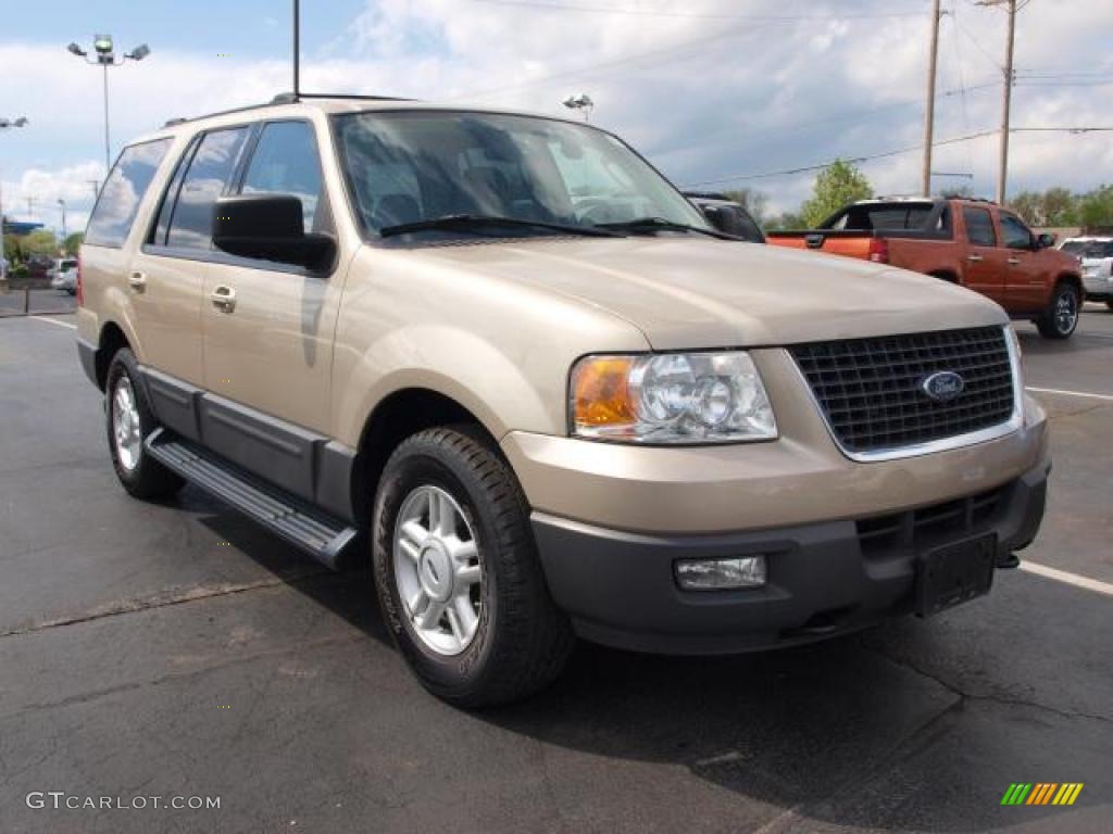 Pueblo Gold Metallic 2004 Ford Expedition XLT 4x4 Exterior Photo #47941788