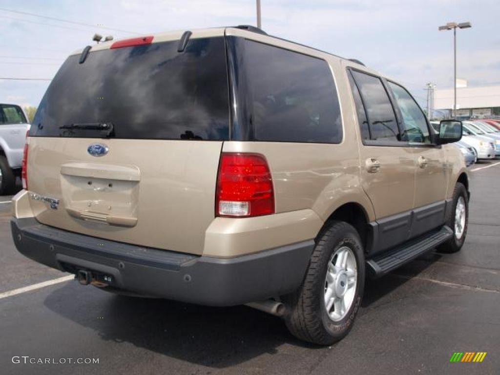 2004 Expedition XLT 4x4 - Pueblo Gold Metallic / Medium Parchment photo #3