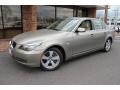 Platinum Bronze Metallic 2008 BMW 5 Series 528xi Sedan