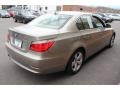 Platinum Bronze Metallic - 5 Series 528xi Sedan Photo No. 6