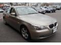Platinum Bronze Metallic - 5 Series 528xi Sedan Photo No. 7