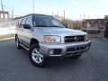 Chrome Silver Metallic - Pathfinder SE 4x4 Photo No. 1