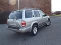 Chrome Silver Metallic - Pathfinder SE 4x4 Photo No. 3