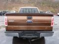 Golden Bronze Metallic - F150 XLT SuperCab 4x4 Photo No. 3