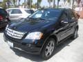 Black - ML 350 4Matic Photo No. 8