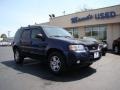 2004 True Blue Metallic Ford Escape Limited 4WD  photo #2