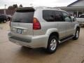Silver Pine Metallic - GX 470 Photo No. 4
