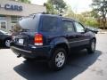 2004 True Blue Metallic Ford Escape Limited 4WD  photo #8