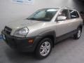 Platinum Metallic - Tucson GLS V6 Photo No. 2