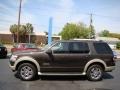 Dark Stone Metallic 2006 Ford Explorer Eddie Bauer Exterior