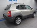 Platinum Metallic - Tucson GLS V6 Photo No. 3