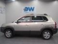 Platinum Metallic - Tucson GLS V6 Photo No. 5