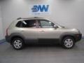 Platinum Metallic - Tucson GLS V6 Photo No. 6