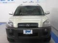 Platinum Metallic - Tucson GLS V6 Photo No. 7