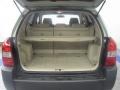 Platinum Metallic - Tucson GLS V6 Photo No. 9