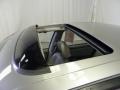 Sterling Mist Metallic - Maxima SE Photo No. 21
