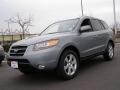 2007 Steel Gray Hyundai Santa Fe Limited  photo #1