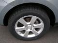 2007 Steel Gray Hyundai Santa Fe Limited  photo #3