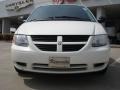 Stone White - Grand Caravan SE Photo No. 8