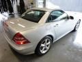 Brilliant Silver Metallic - SLK 320 Roadster Photo No. 12