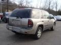 2003 Light Pewter Metallic Chevrolet TrailBlazer LS 4x4  photo #7