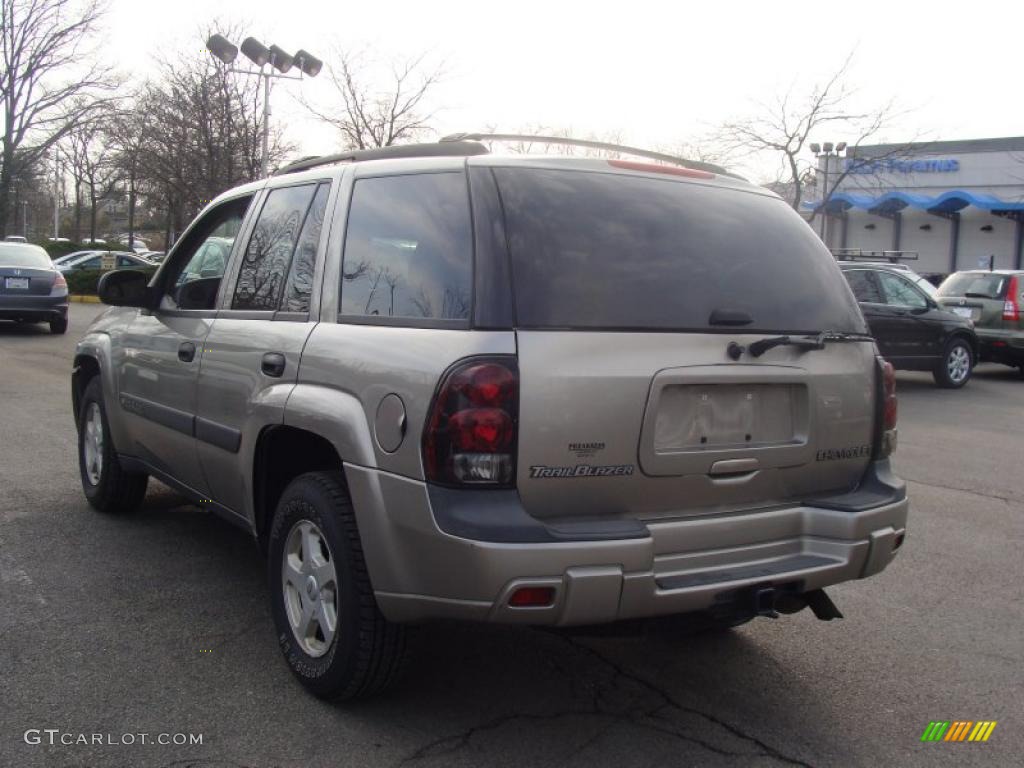 2003 TrailBlazer LS 4x4 - Light Pewter Metallic / Medium Pewter photo #9