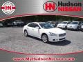 Winter Frost White - Maxima 3.5 SV Photo No. 1
